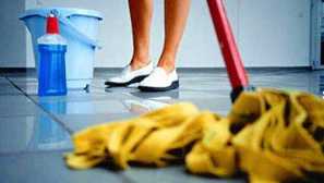 Jak se zbavit blech v bytě